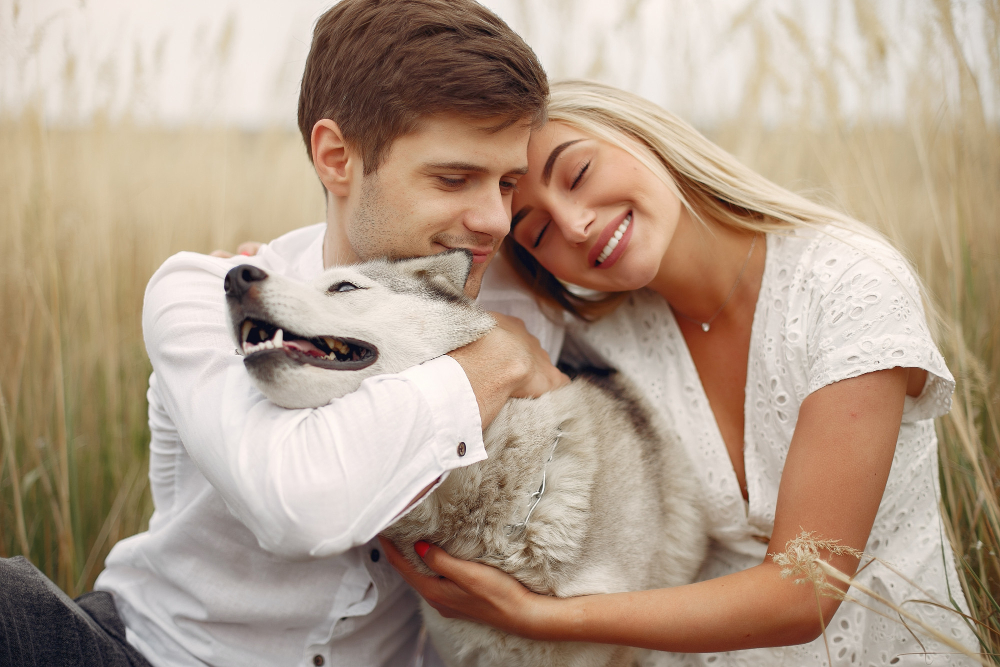 Couple During Autumn In Field Hugging Dog